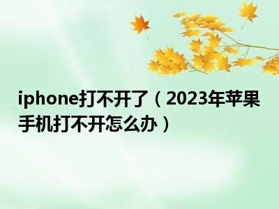 iphone打不开了（2023年苹果手机打不开怎么办）