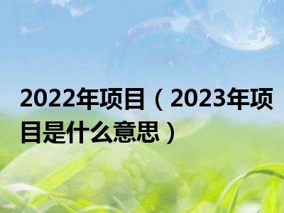 2022年项目（2023年项目是什么意思）