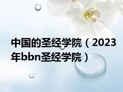 中国的圣经学院（2023年bbn圣经学院）
