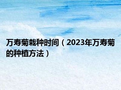 万寿菊栽种时间（2023年万寿菊的种植方法）