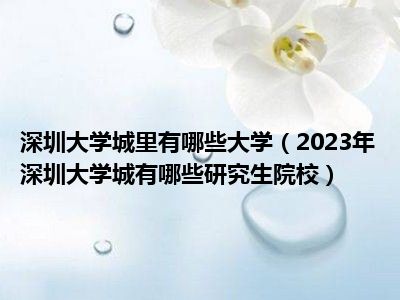深圳大学城里有哪些大学（2023年深圳大学城有哪些研究生院校）