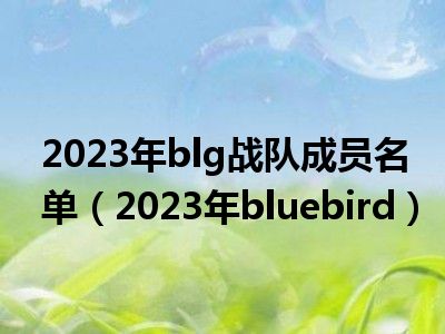 2023年blg战队成员名单（2023年bluebird）