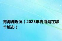 青海湖近况（2023年青海湖在哪个城市）