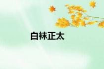 白袜正太