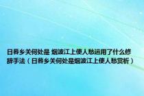 日暮乡关何处是 烟波江上使人愁运用了什么修辞手法（日暮乡关何处是烟波江上使人愁赏析）