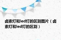 卤素灯和led灯的区别图片（卤素灯和led灯的区别）