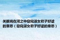 关雎鸠在河之中窈窕淑女君子好逑的意思（窈窕淑女君子好逑的意思）