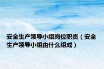 安全生产领导小组岗位职责（安全生产领导小组由什么组成）