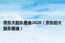 京东大股东是谁2020（京东的大股东是谁）