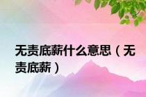 无责底薪什么意思（无责底薪）