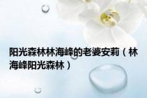 阳光森林林海峰的老婆安莉（林海峰阳光森林）