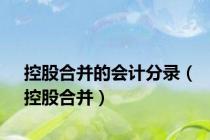控股合并的会计分录（控股合并）