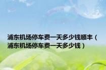 浦东机场停车费一天多少钱顺丰（浦东机场停车费一天多少钱）