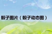 骰子图片（骰子动态图）