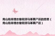 青山有幸埋忠骨何须马革裹尸还的意思（青山有幸埋忠骨何须马革裹尸还）