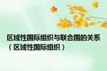 区域性国际组织与联合国的关系（区域性国际组织）