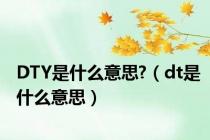 DTY是什么意思?（dt是什么意思）