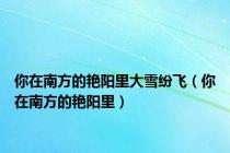 你在南方的艳阳里大雪纷飞（你在南方的艳阳里）