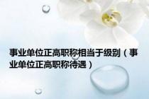 事业单位正高职称相当于级别（事业单位正高职称待遇）