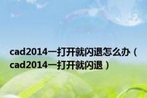 cad2014一打开就闪退怎么办（cad2014一打开就闪退）