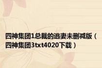 四神集团1总裁的逃妻未删减版（四神集团3txt4020下载）