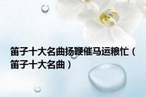 笛子十大名曲扬鞭催马运粮忙（笛子十大名曲）