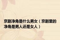 京剧净角是什么男女（京剧里的净角是男人还是女人）