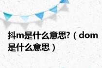 抖m是什么意思?（dom是什么意思）