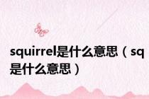 squirrel是什么意思（sq是什么意思）