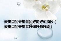 麦田里的守望者的好词好句摘抄（麦田里的守望者好词好句好段）