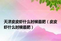 天津皮皮虾什么时候最肥（皮皮虾什么时候最肥）