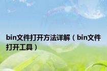 bin文件打开方法详解（bin文件打开工具）