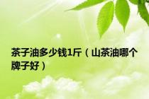 茶子油多少钱1斤（山茶油哪个牌子好）