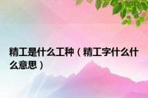 精工是什么工种（精工字什么什么意思）