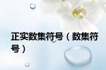 正实数集符号（数集符号）