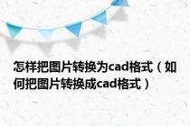 怎样把图片转换为cad格式（如何把图片转换成cad格式）