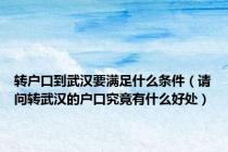 转户口到武汉要满足什么条件（请问转武汉的户口究竟有什么好处）