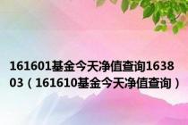 161601基金今天净值查询163803（161610基金今天净值查询）