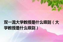双一流大学教授是什么级别（大学教授是什么级别）