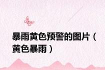 暴雨黄色预警的图片（黄色暴雨）