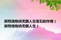 新牧场物语无暇人生宝石的作用（新牧场物语无暇人生）