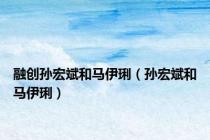 融创孙宏斌和马伊琍（孙宏斌和马伊琍）