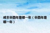 咸丰辛酉年是哪一年（辛酉年是哪一年）