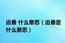 追番 什么意思（追番是什么意思）