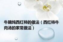 牛腩炖西红柿的做法（西红柿牛肉汤的家常做法）
