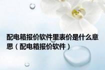 配电箱报价软件里表价是什么意思（配电箱报价软件）