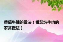 番茄牛腩的做法（番茄炖牛肉的家常做法）