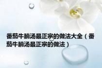 番茄牛腩汤最正宗的做法大全（番茄牛腩汤最正宗的做法）