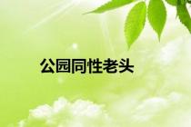 公园同性老头