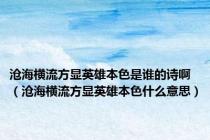 沧海横流方显英雄本色是谁的诗啊（沧海横流方显英雄本色什么意思）